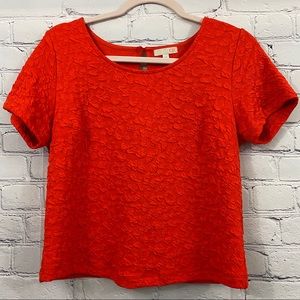 GB Clothing Top Cropped Career Wear